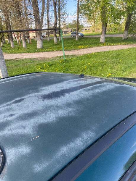 Renault Laguna I, 1995 г.
