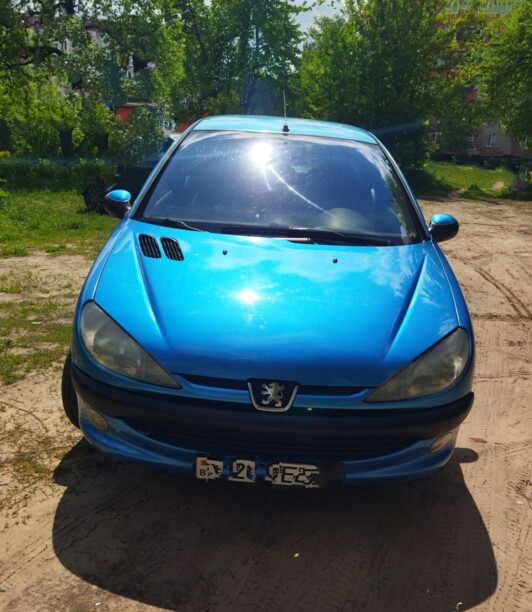 Peugeot 206 I, 2003 г.