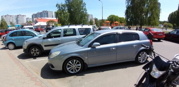 Opel Signum I · Рестайлинг, 2006 г.