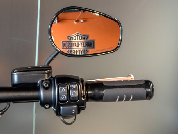 Harley-Davidson Fat Bob 114, 2018 г.