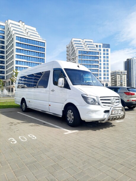 Mercedes-Benz Sprinter 315 CDI ExtraLong, 2008 г.