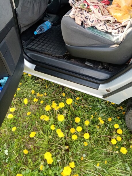 Volkswagen Sharan I · Рестайлинг, 7 мест, 2001 г.