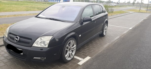 Opel Signum I, 2004 г.