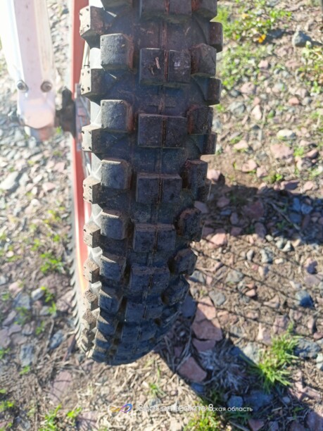 Ekonika Roliz Sport 008, 2020 г.