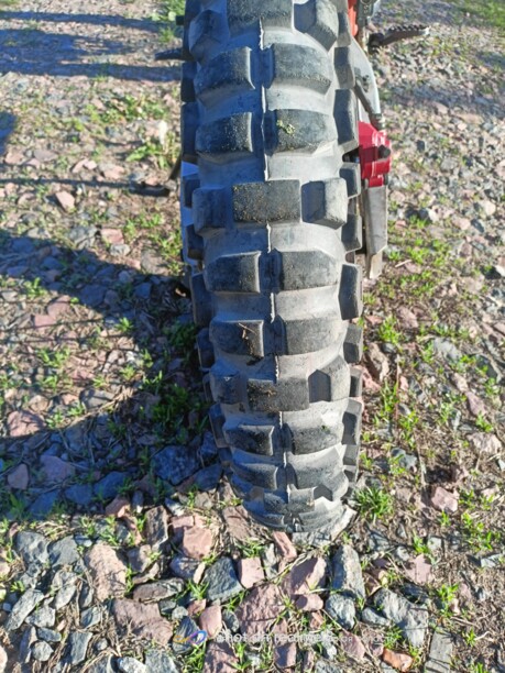 Ekonika Roliz Sport 008, 2020 г.