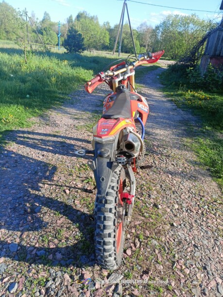 Ekonika Roliz Sport 008, 2020 г.