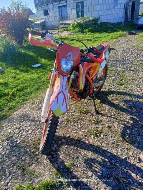 Ekonika Roliz Sport 008, 2020 г.