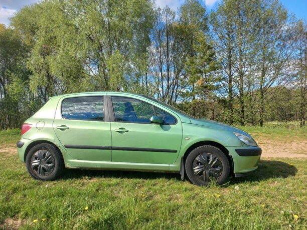 Peugeot 307 I, 2003 г.