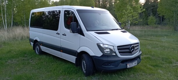 Mercedes-Benz Sprinter 316 NGT, 2015 г.