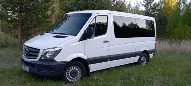 Mercedes-Benz Sprinter 316 NGT, 2015 г.