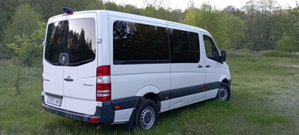 Mercedes-Benz Sprinter 316 NGT, 2015 г.