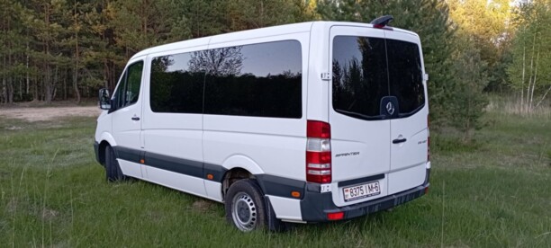 Mercedes-Benz Sprinter 316 NGT, 2015 г.