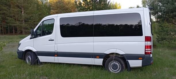 Mercedes-Benz Sprinter 316 NGT, 2015 г.