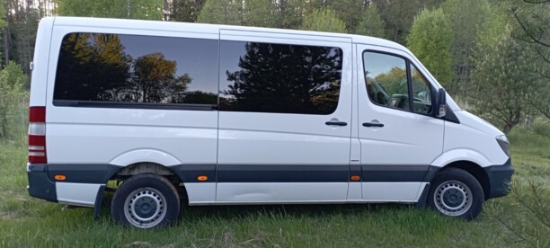 Mercedes-Benz Sprinter 316 NGT, 2015 г.