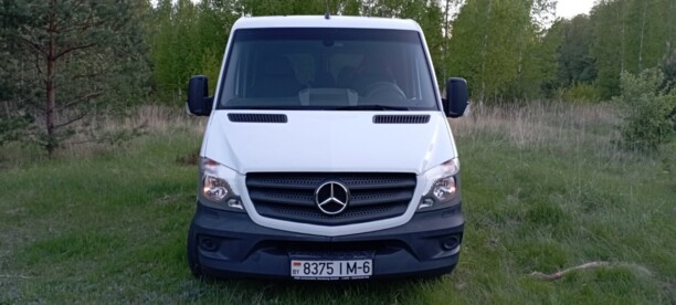 Mercedes-Benz Sprinter 316 NGT, 2015 г.