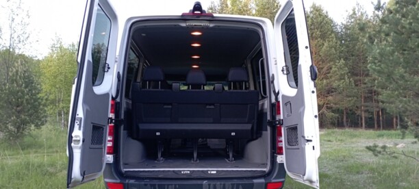 Mercedes-Benz Sprinter 316 NGT, 2015 г.