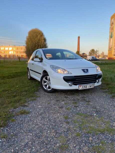 Peugeot 307 I, 2004 г.