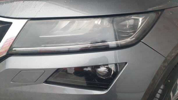 Skoda Kodiaq, 2019 г.