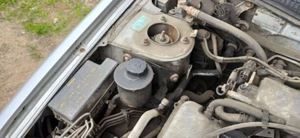 Nissan Primera P10, 1995 г.