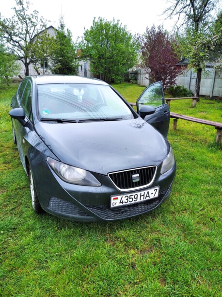 SEAT Ibiza IV, 2008 г.
