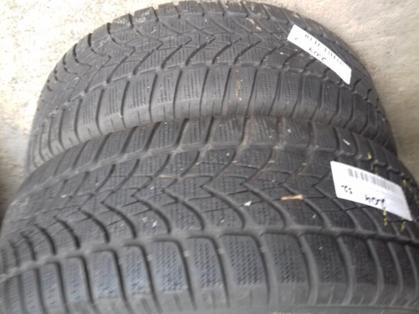 Легковые шины Dunlop SP Winter Sport 4D 205/55 R16 2 шт.