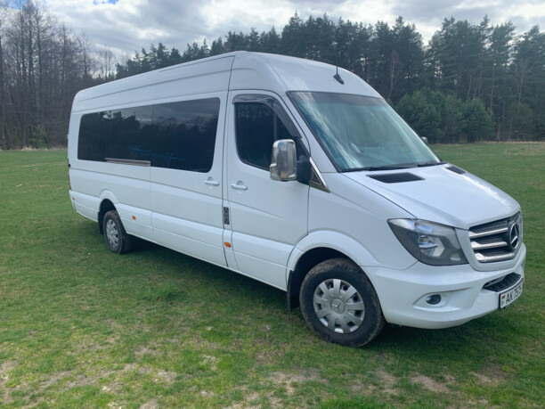 Mercedes-Benz Sprinter 316 XXXL, 2018 г.