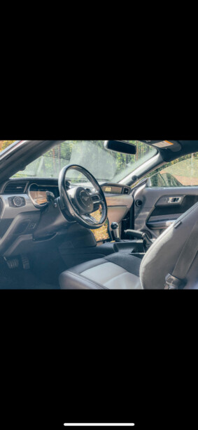Ford Mustang VI, 2015 г.