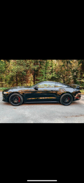 Ford Mustang VI, 2015 г.