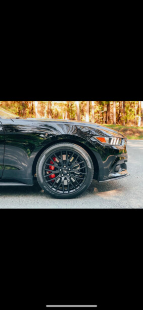 Ford Mustang VI, 2015 г.