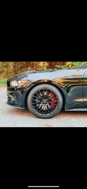 Ford Mustang VI, 2015 г.
