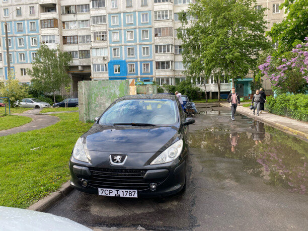 Peugeot 307 I · Рестайлинг, 2006 г.