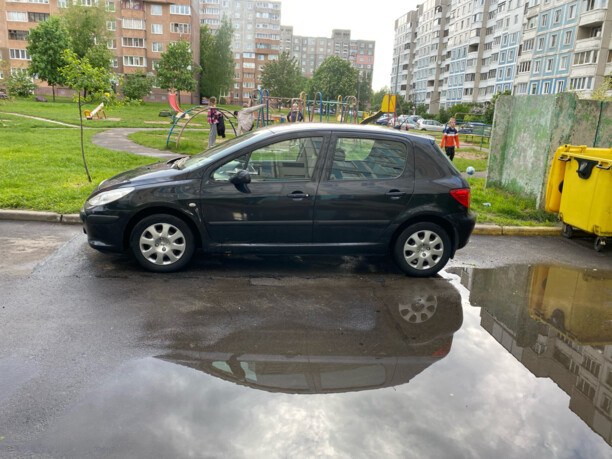 Peugeot 307 I · Рестайлинг, 2006 г.