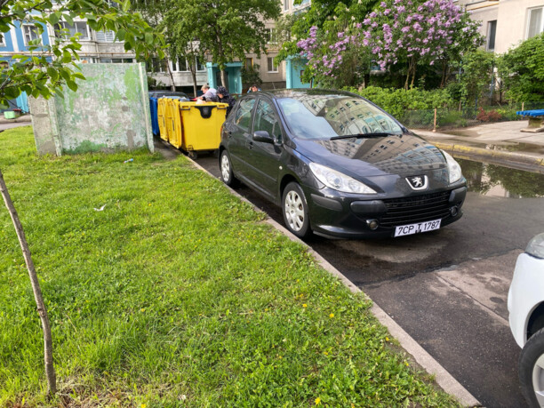 Peugeot 307 I · Рестайлинг, 2006 г.