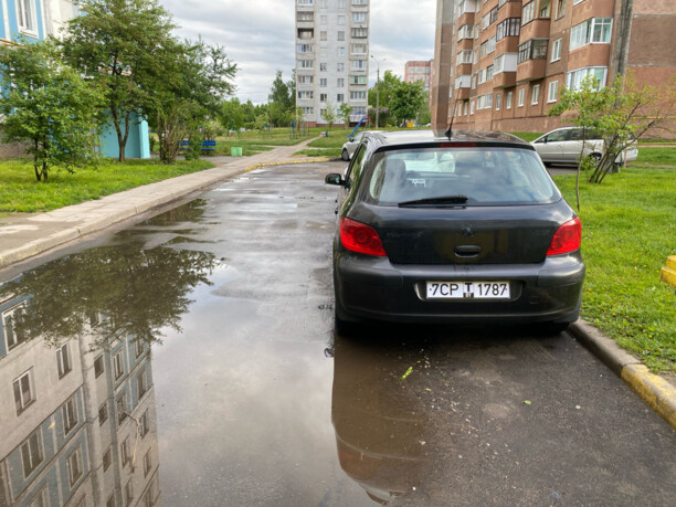 Peugeot 307 I · Рестайлинг, 2006 г.