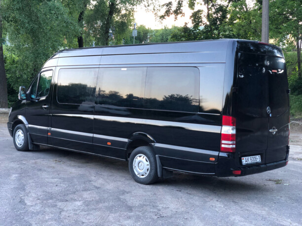 Mercedes-Benz Sprinter 316, 2010 г.