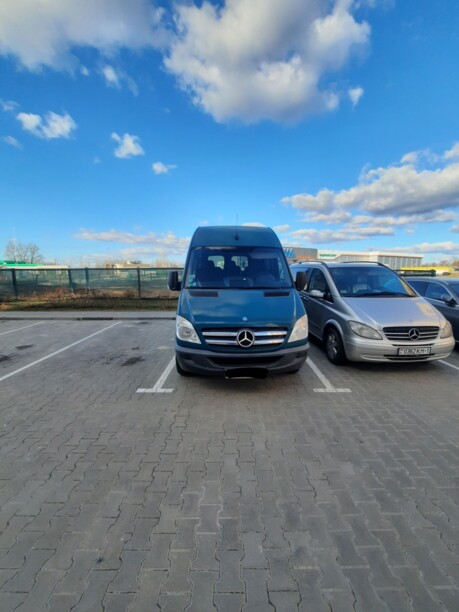 Mercedes-Benz Sprinter 318, 2008 г.