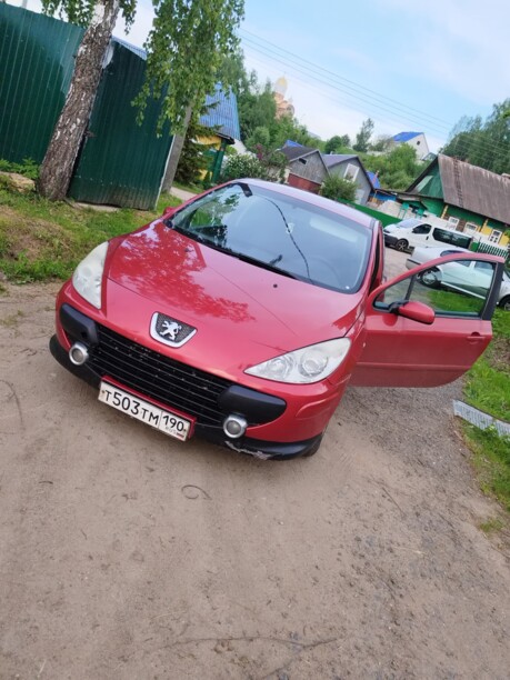 Peugeot 307 I · Рестайлинг, 2006 г.
