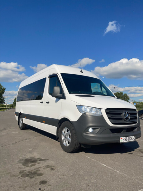 Mercedes-Benz Sprinter 316, 2019 г.