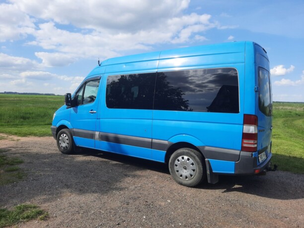 Mercedes-Benz Sprinter 315, 2008 г.