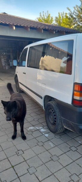 Mercedes-Benz Vito W638, 2000 г.