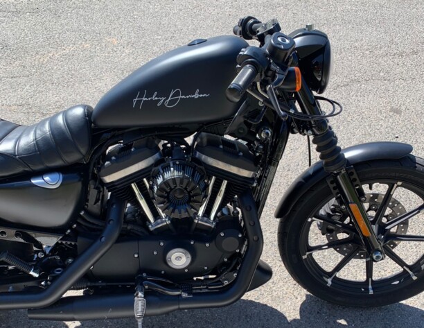 Harley-Davidson Sportster, 2018 г.