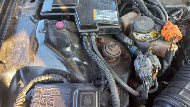 Honda Accord V, 1993 г.