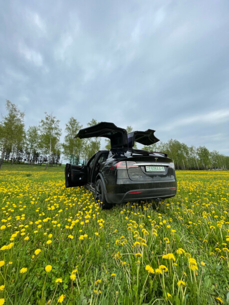 Tesla Model X, 7 мест, 2017 г.