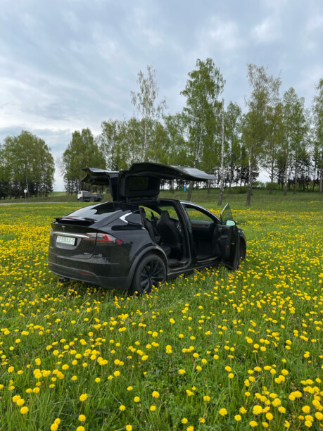 Tesla Model X, 7 мест, 2017 г.