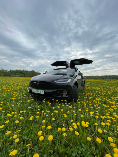 Tesla Model X, 7 мест, 2017 г.