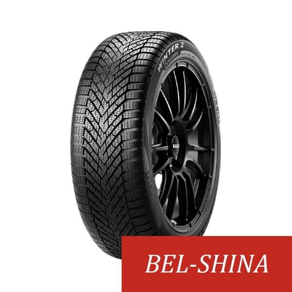 Легковые шины Pirelli Cinturato Winter 2 225/45 R17 2 шт.