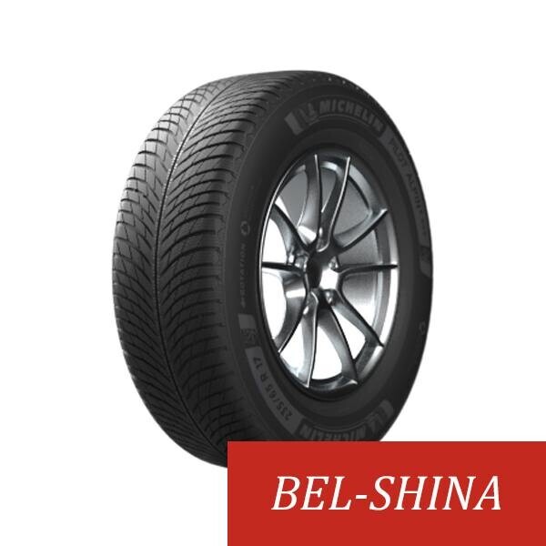 Легковые шины Michelin Pilot Alpin 5 SUV 255/55 R18 4 шт.