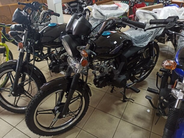 Racer Alpha RC50-F, 2022 г.