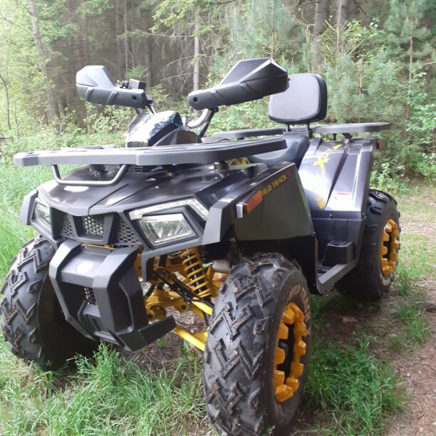 Motoland Wild Trak X , 2022 г.