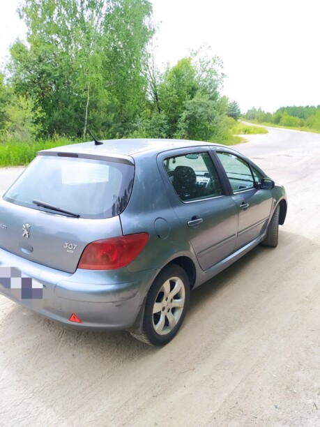 Peugeot 307 I, 2004 г.